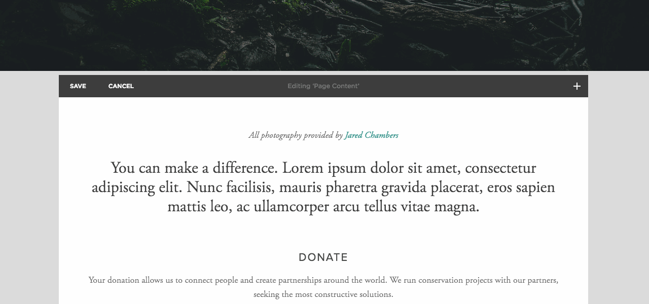 paste-code-squarespace.gif