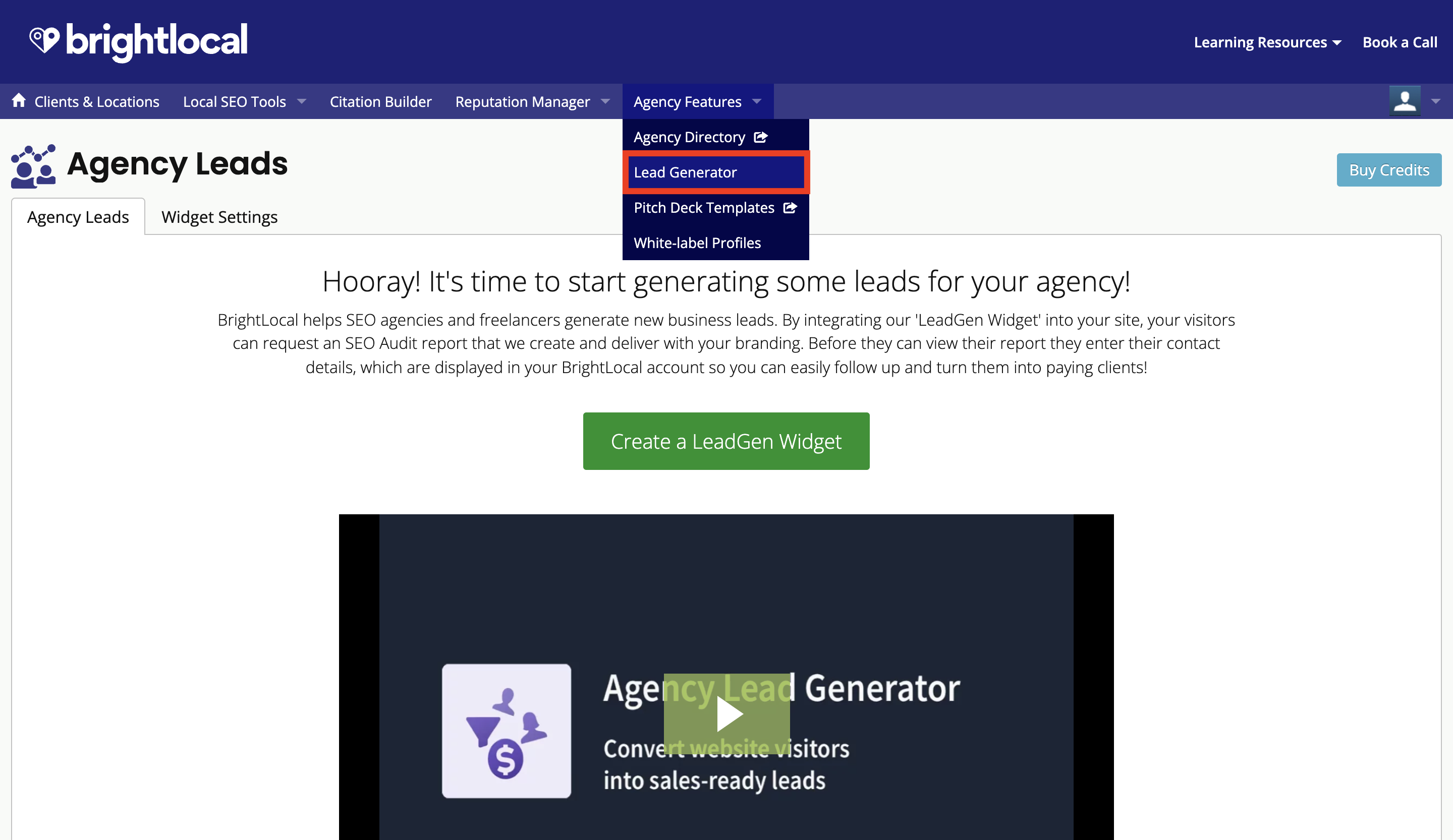 1-Can_I_choose_the_Local_Search_Audit_report_data_that_s_received_by_Agency_Lead_Generator_Widget_leads_.png